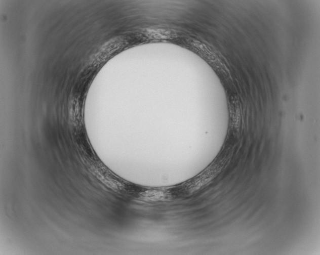 X0000085790418200704131859