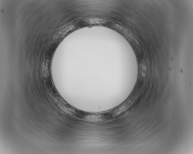 X0000085790422200704131859