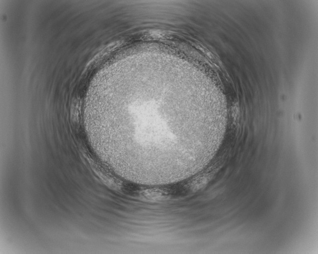 X0000085790423200704131859
