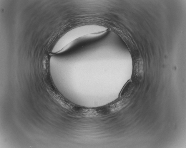X0000085790424200704131859
