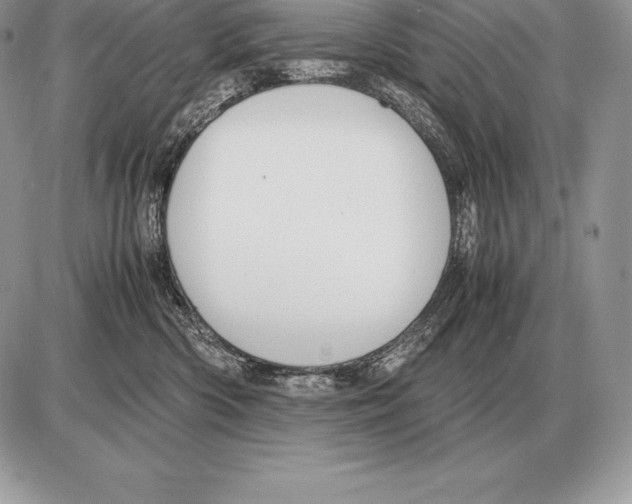 X0000085790426200704131859