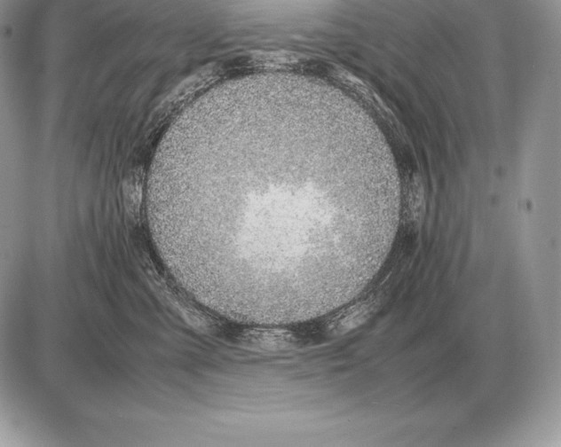 X0000085790427200704131859