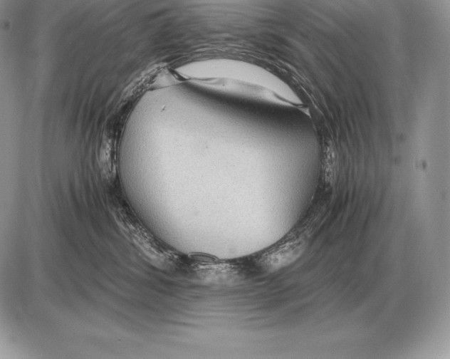 X0000085790428200704131859