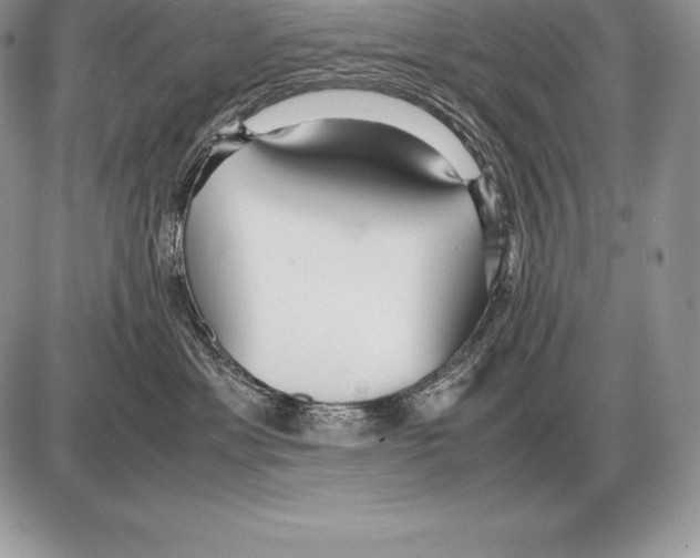 X0000085790429200704131859