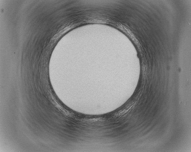 X0000085790433200704131858