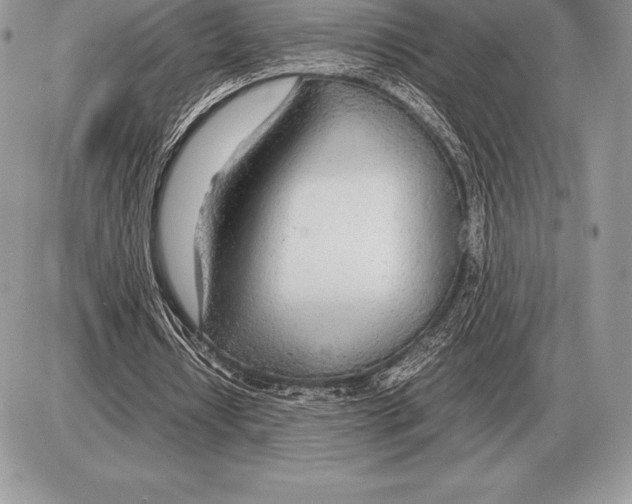 X0000085790434200704131858