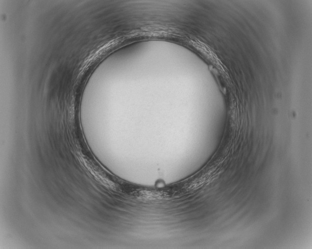 X0000085790442200704131859