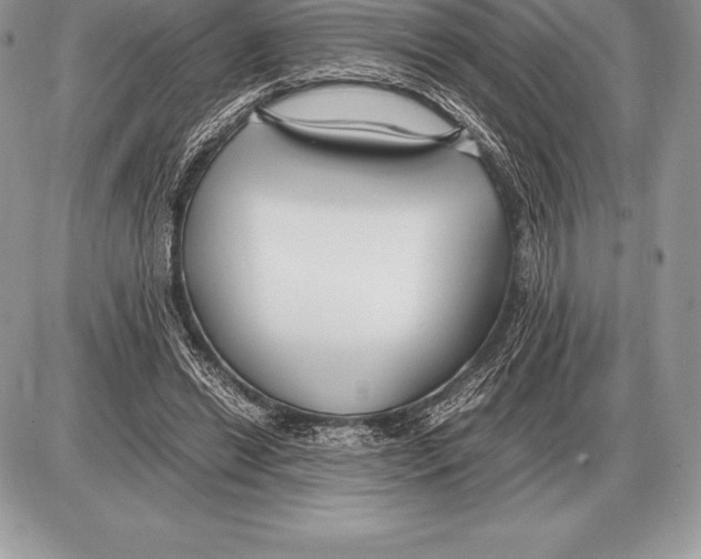 X0000085790446200704131859