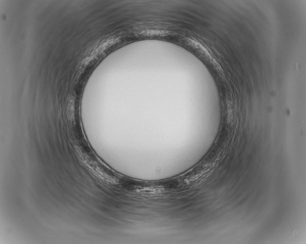 X0000085790447200704131859
