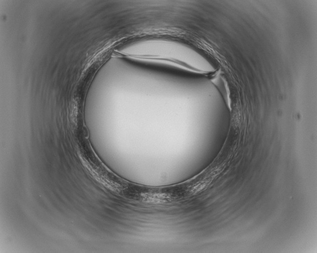 X0000085790448200704131859