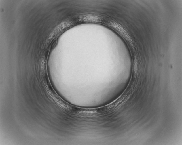 X0000085790449200704131859