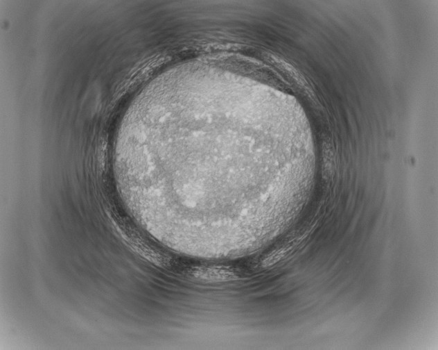 X0000085790451200704131859