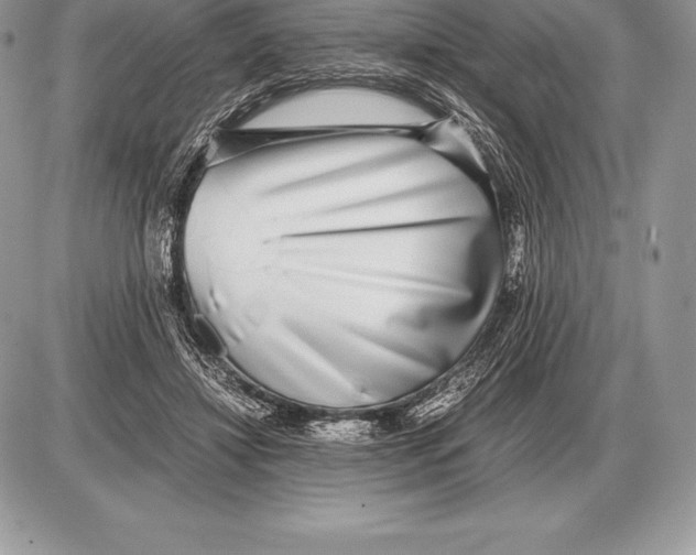 X0000085790452200704131859