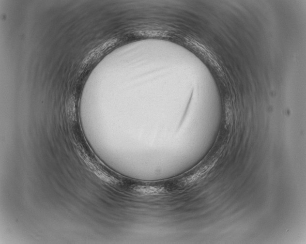 X0000085790453200704131859