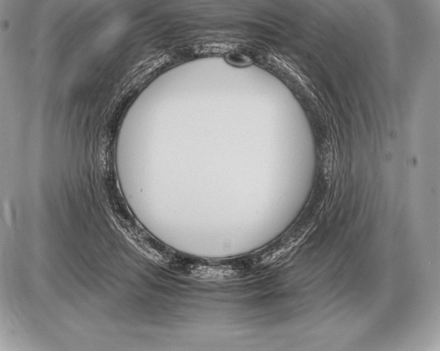 X0000085790455200704131859