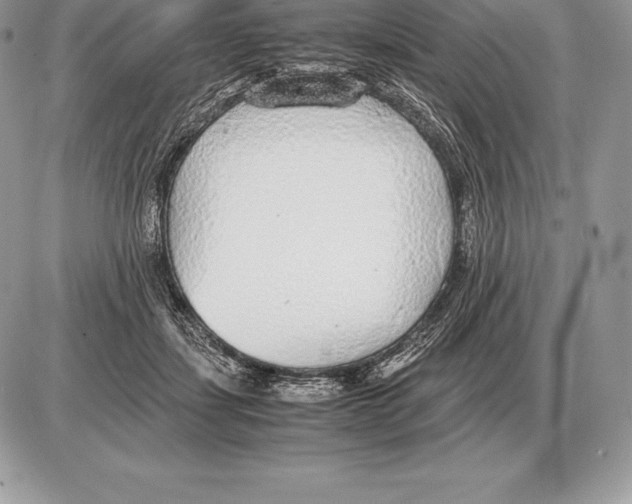 X0000085790459200704131859
