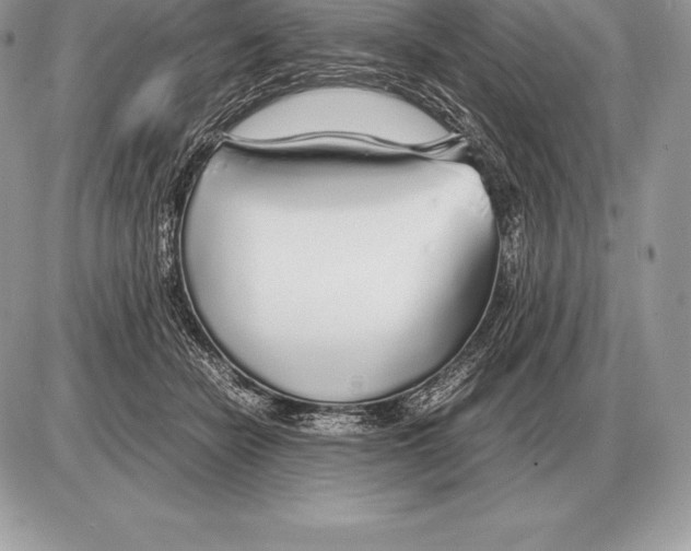 X0000085790462200704131859
