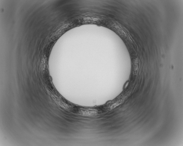 X0000085790463200704131859