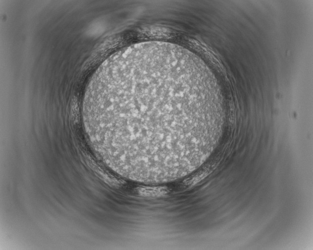 X0000085790465200704131859