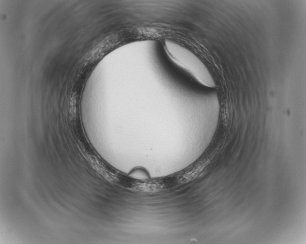 X0000085790466200704131859