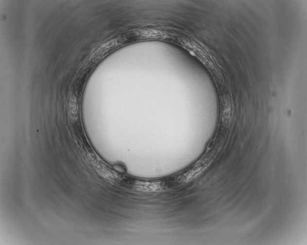 X0000085790469200704131859