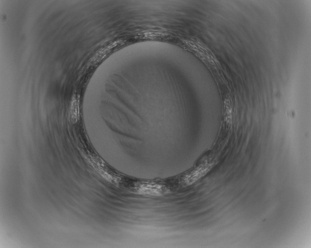 X0000085790471200704131859