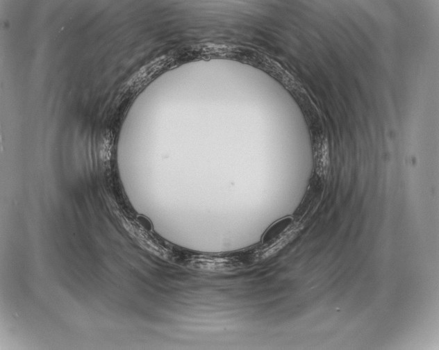 X0000085790472200704131859