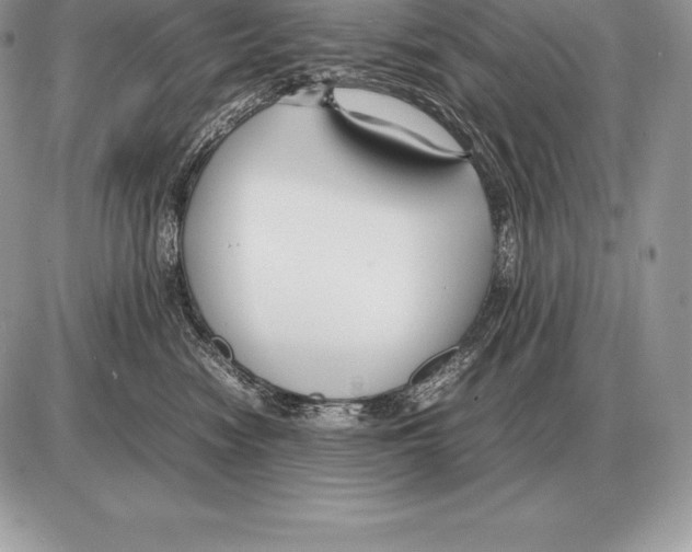 X0000085790474200704131859