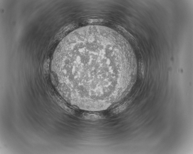 X0000085790475200704131859