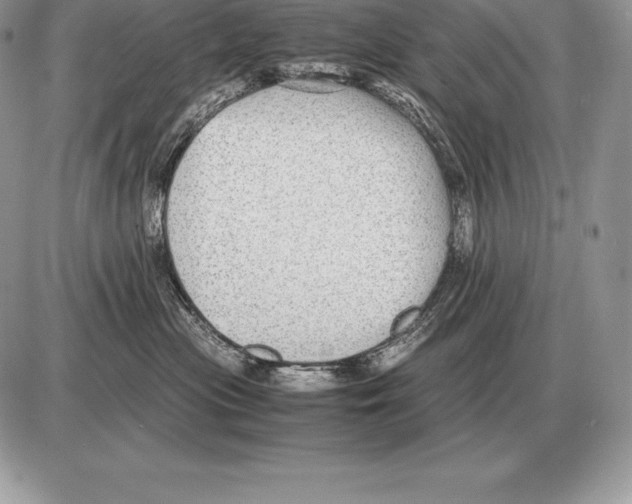 X0000085790477200704131859