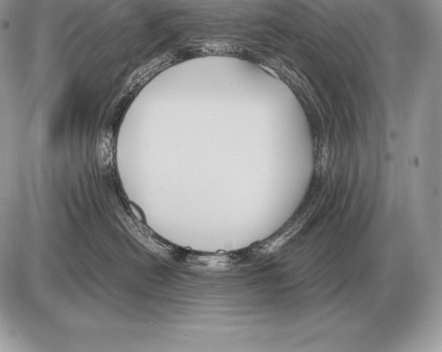 X0000085790478200704131859