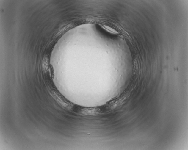 X0000085790479200704131859