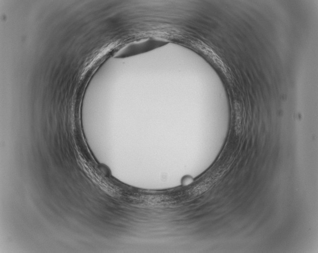 X0000085790482200704131858