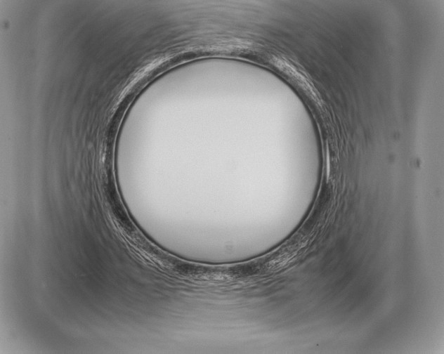 X0000085790483200704131858
