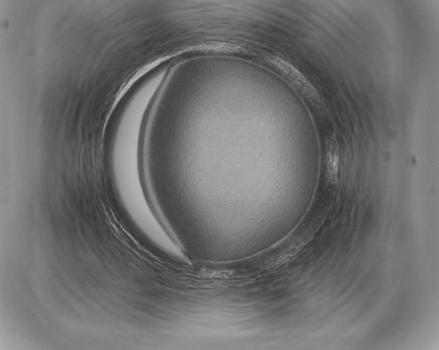 X0000085790484200704131858