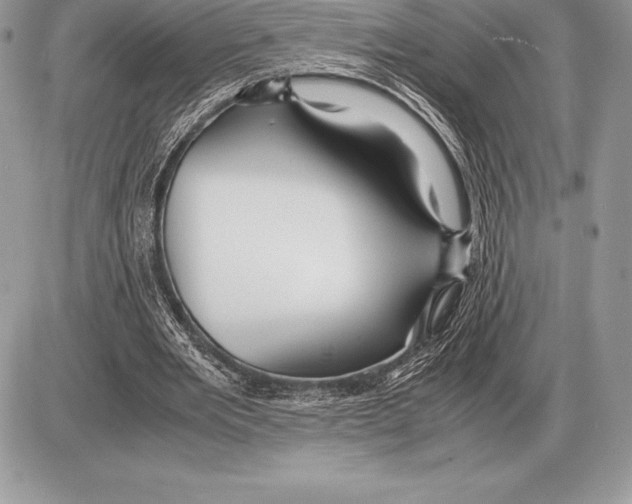 X0000085790485200704131858