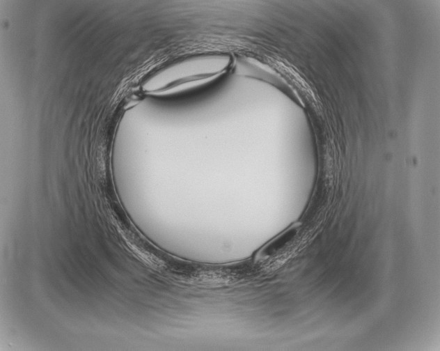 X0000085790489200704131858