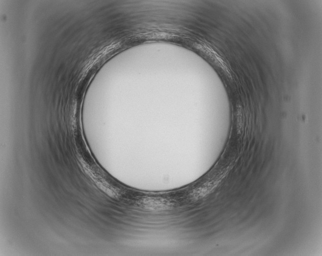 X0000085790490200704131858