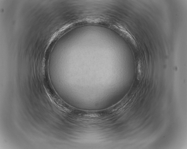X0000085790492200704131858