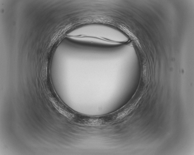 X0000085790493200704131858
