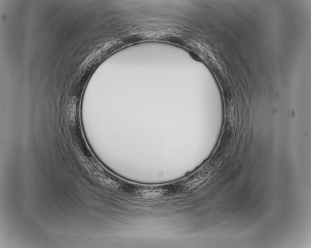 X0000085790495200704131858