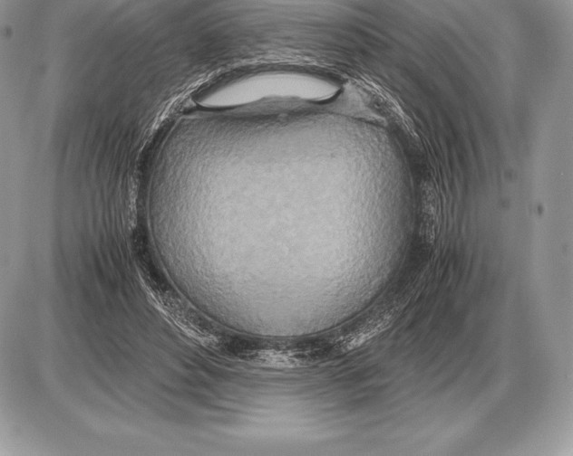 X0000085790496200704131858