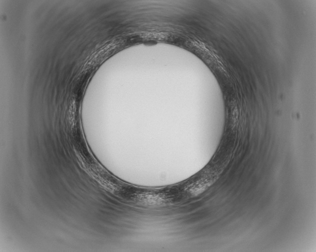 X0000085790498200704131858