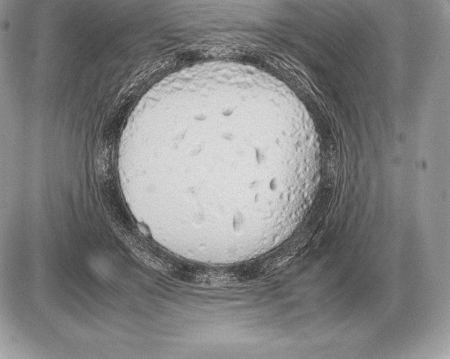 X0000085790503200704131858