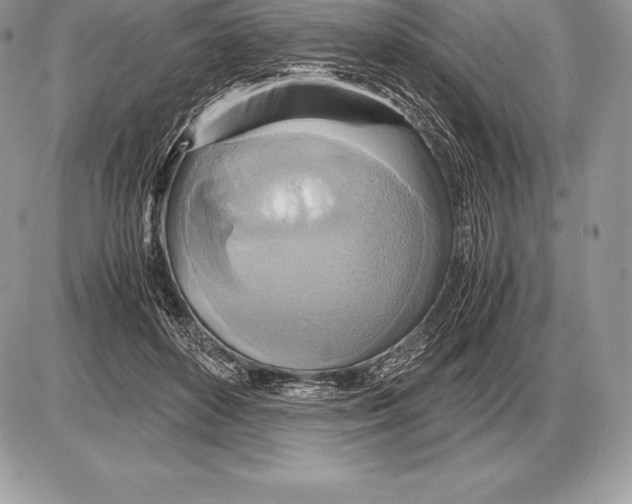 X0000085790504200704131858