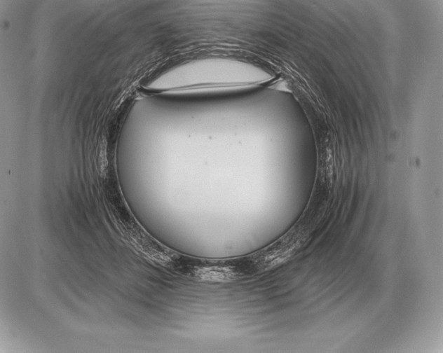 X0000085790508200704131858