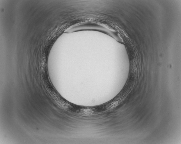 X0000085790509200704131858