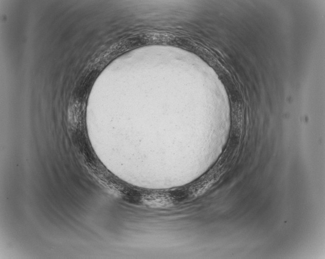 X0000085790511200704131858
