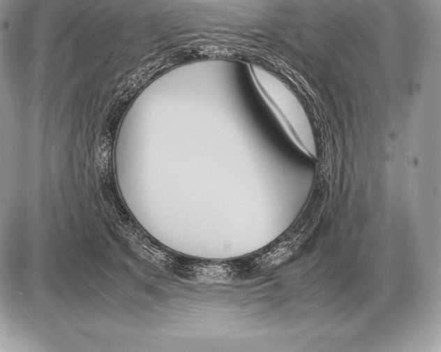 X0000085790513200704131858