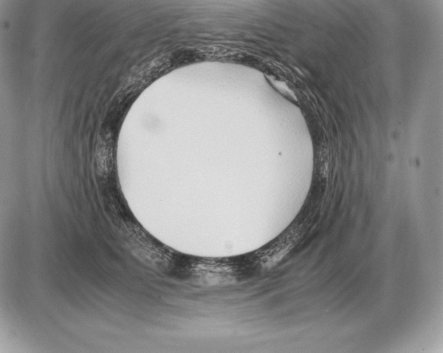 X0000085790515200704131858